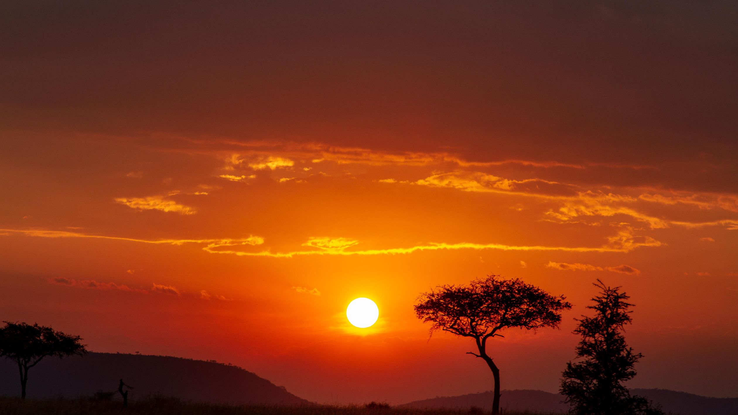 No momento, você está visualizando Cultura Africana